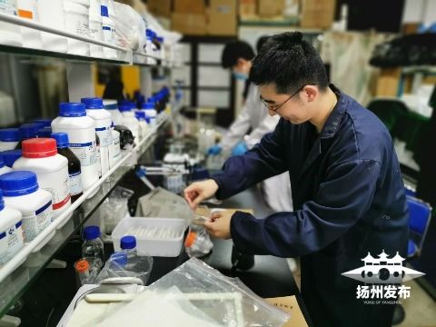 綠色科技新突破 揚州大學研發(fā)環(huán)保生物藥劑，為植物健康保駕護航